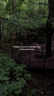 Новая Тропа к Камню Лжи в Пионерском: Природное Очарование