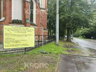 Ремонт тротуара на Проспекте Победы: местные жители обеспокоены судьбой деревьев