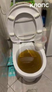 Коммунальная авария в Калининграде: жильцы борются с нечистотами