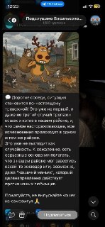 Таинственное исчезновение котов в посёлках: более десяти пропали